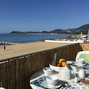 book here